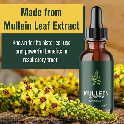 Ellyno® - Mullein Extract